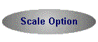 Scale Option